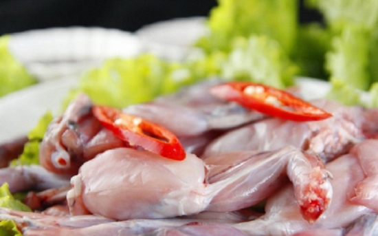 Sơ chế thịt cóc thế nào cho đúng để không ngộ độc?